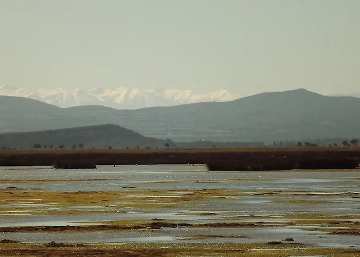 Typique Et Confortable Situe A 150m De La